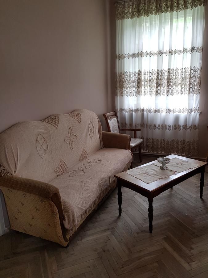 Гостевой дом Guest House Adigeni Adigeni-12